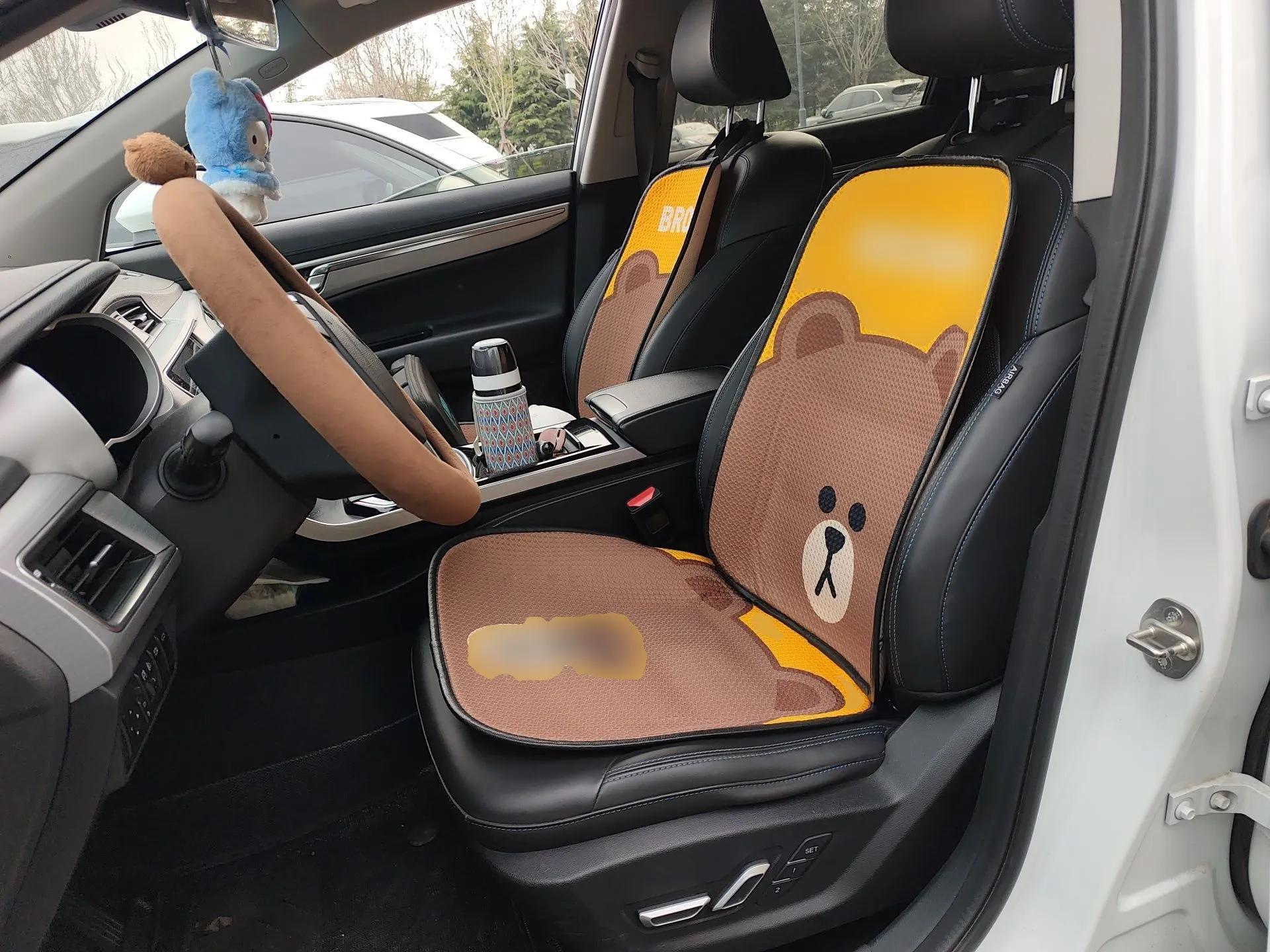 Geely Auto Emgrand GSe 2019 Revised Version 500 Prestige Edition — миниатюра 16