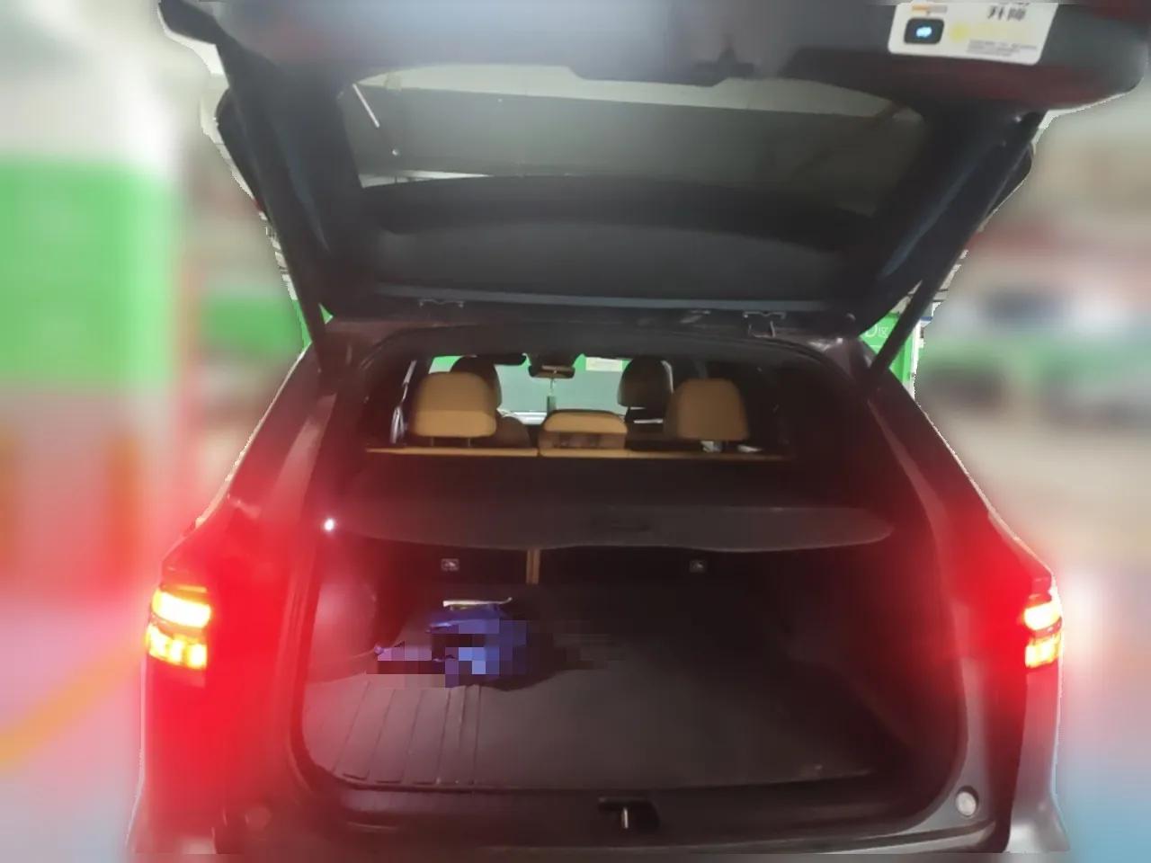 Geely Auto Monjaro L Extended Range Electric Version 2022 1.5T DHT Range-Extending Electric Flagship Edition — миниатюра 20