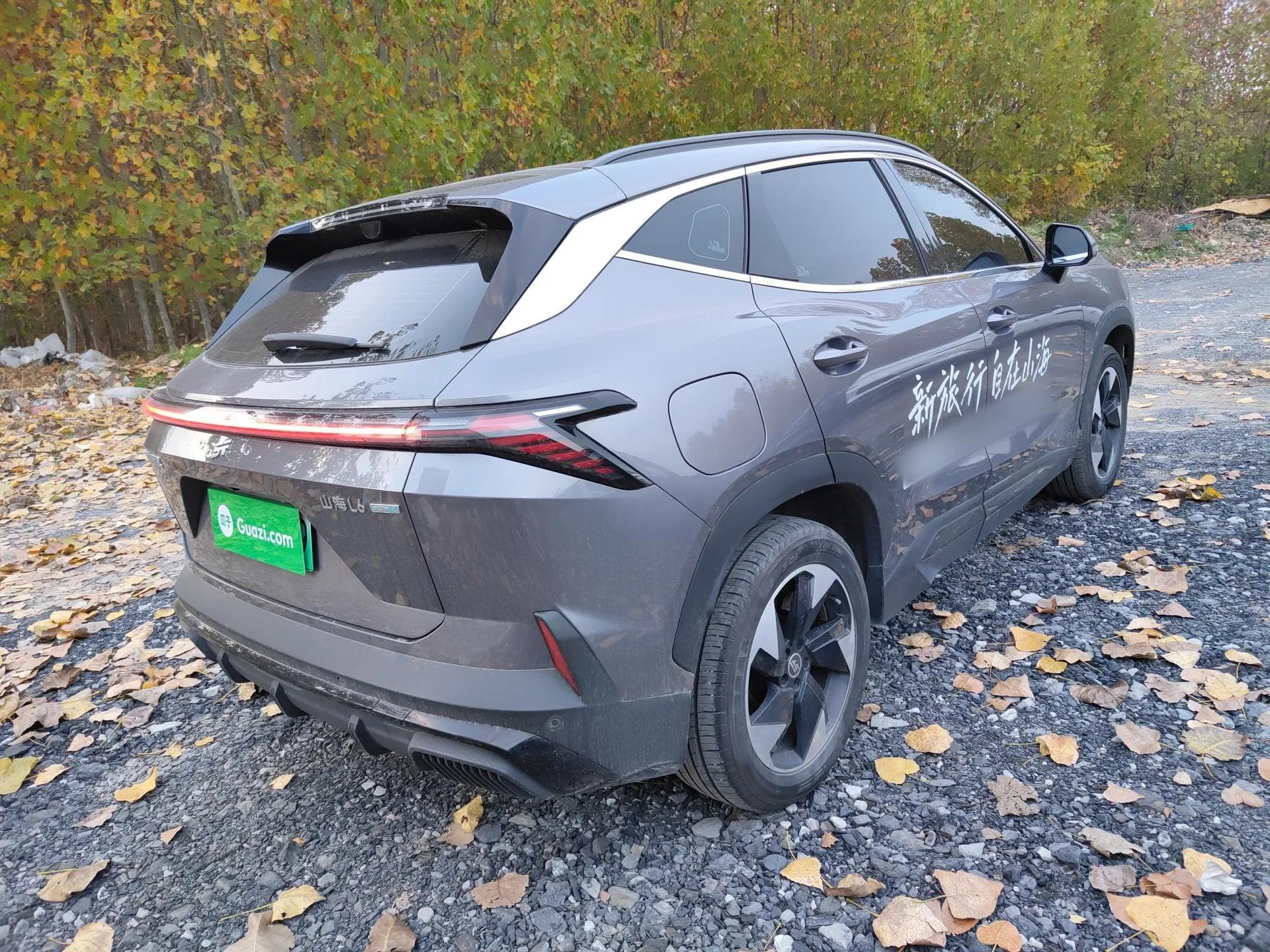 JETOUR Shanhai L6 2024 1.5TD DHT ULTRA — миниатюра 7