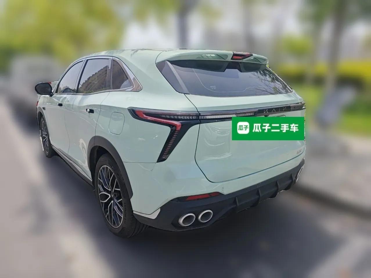 Cowin Kunlun 2024 Kunlun iHD 150km Mountain Peak Edition — миниатюра 4