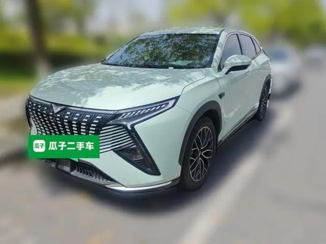 Cowin Kunlun 2024 Kunlun iHD 150km Mountain Peak Edition