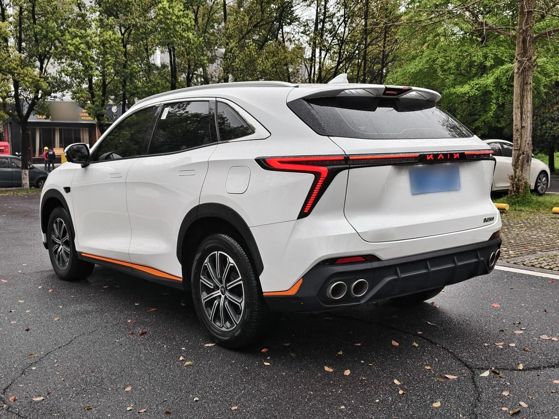 Cowin Kunlun 2023 Kunlun 300 Plateau Edition — миниатюра 5