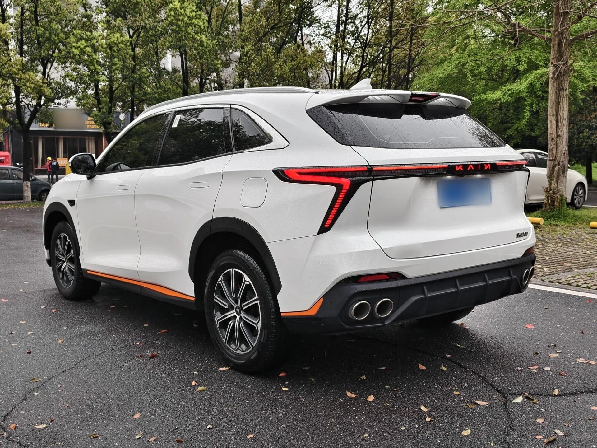 Cowin Kunlun 2023 Kunlun 300 Plateau Edition — миниатюра 7