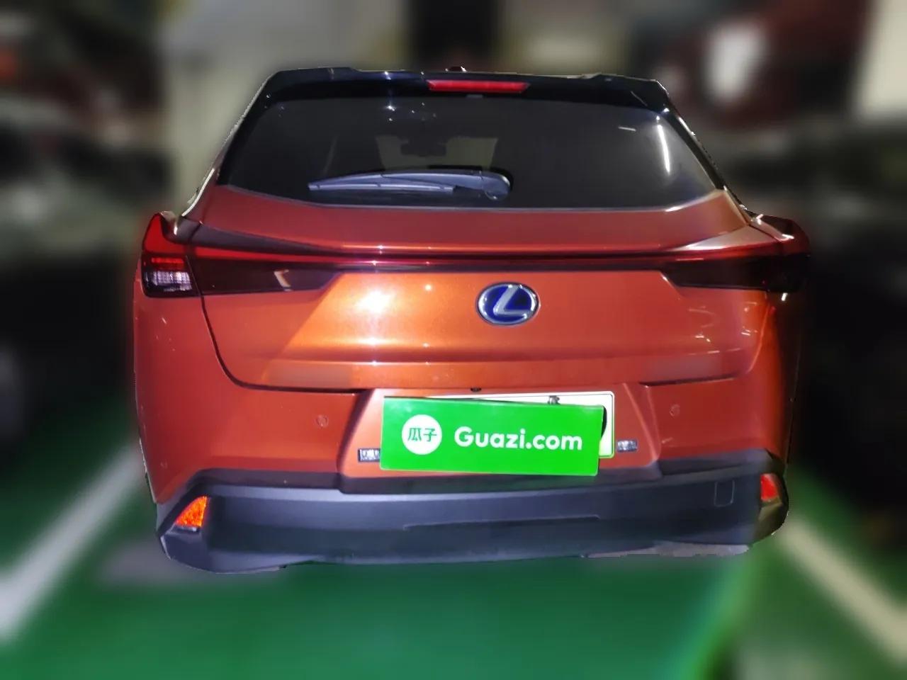 Lexus UX New Energy 2020 300e Pure·Joy Edition — миниатюра 5