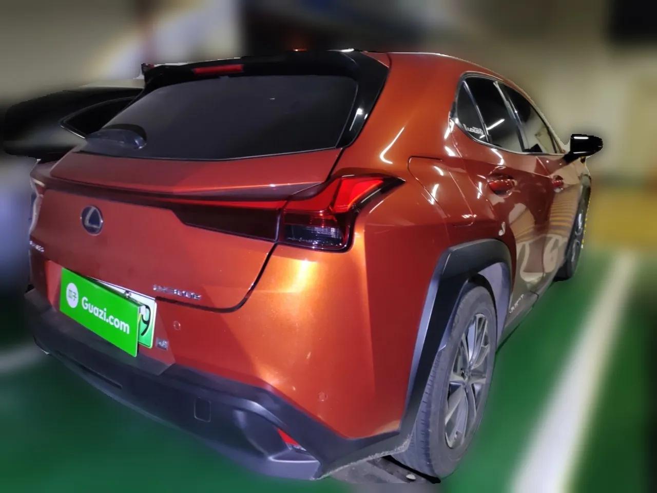 Lexus UX New Energy 2020 300e Pure·Joy Edition — миниатюра 6