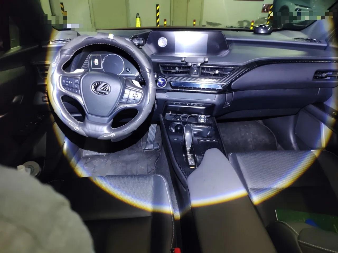 Lexus UX New Energy 2020 300e Pure·Joy Edition — миниатюра 10