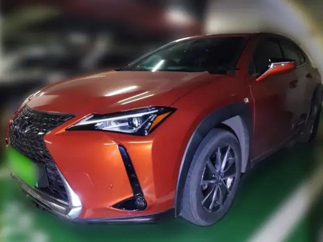 Lexus UX New Energy 2020 300e Pure·Joy Edition