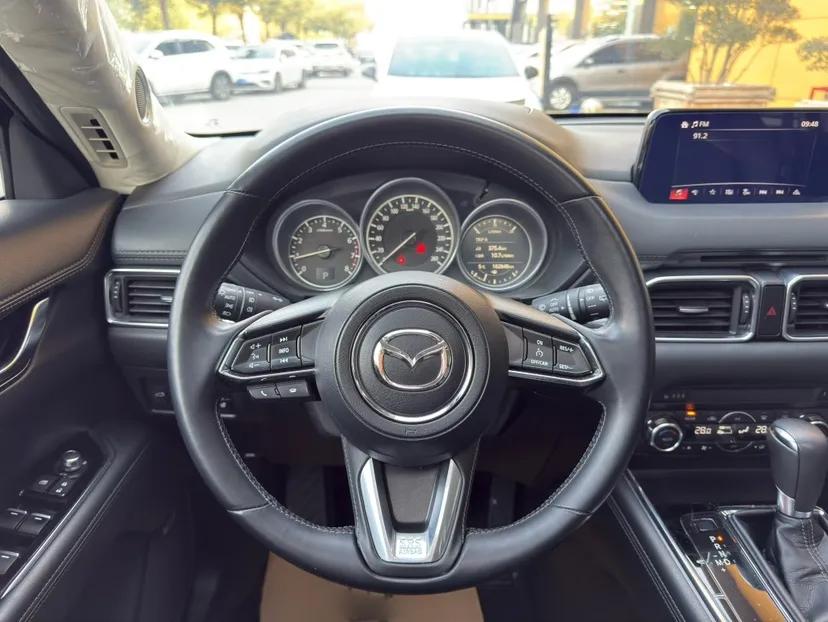 Mazda CX-8 2019 2.5L Four-Wheel Drive Deluxe Edition — миниатюра 13