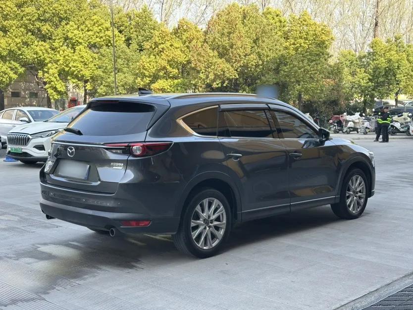 Mazda CX-8 2019 2.5L Four-Wheel Drive Deluxe Edition — миниатюра 8
