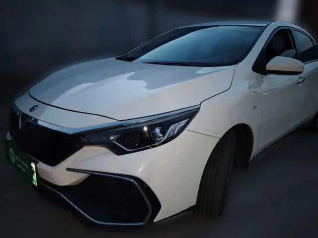 Venucia D60EV 2020 Standard Range Comfort Edition
