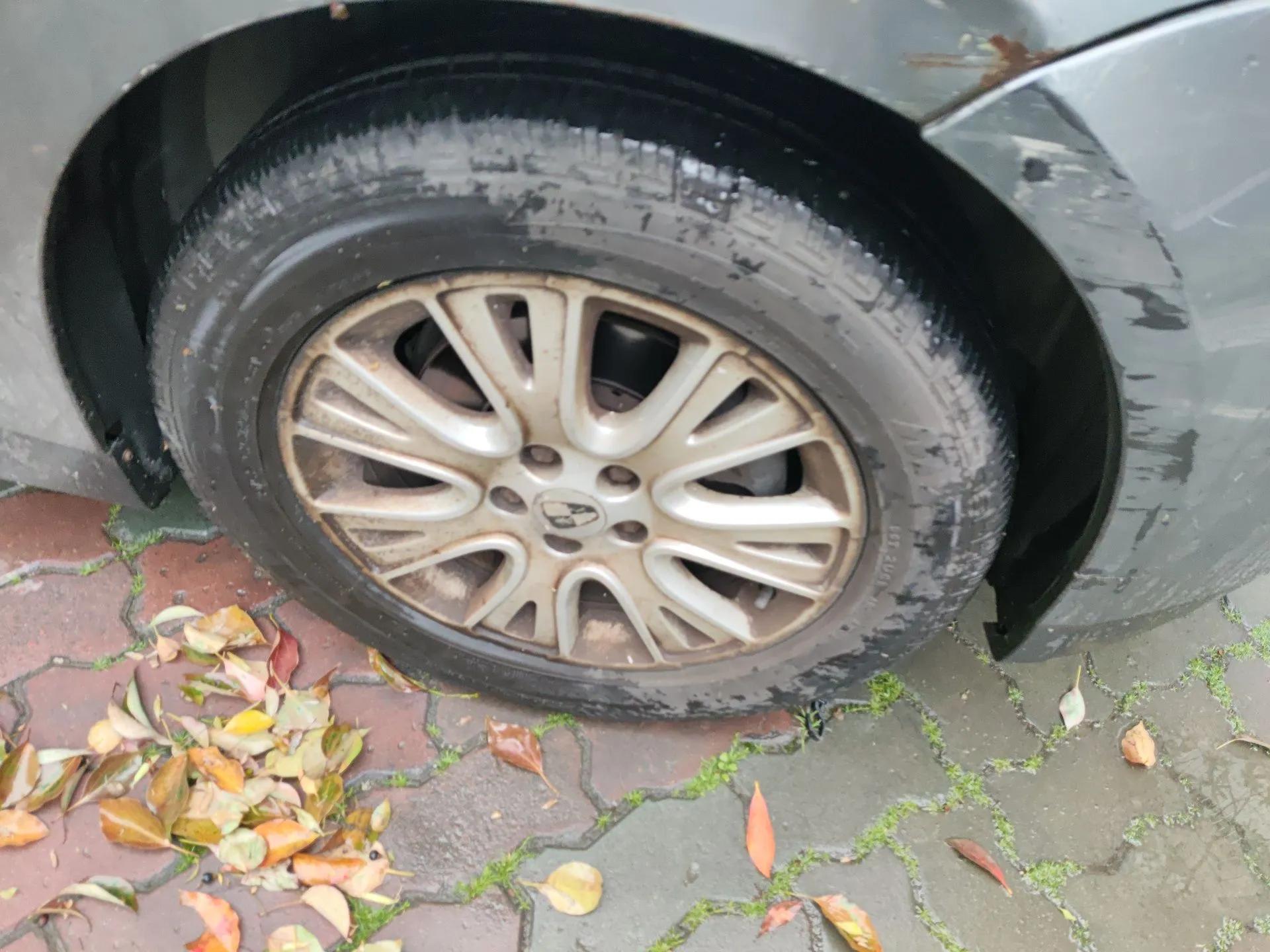 Roewe 550 2008 550D 1.8T Automatic Premium Edition — миниатюра 8