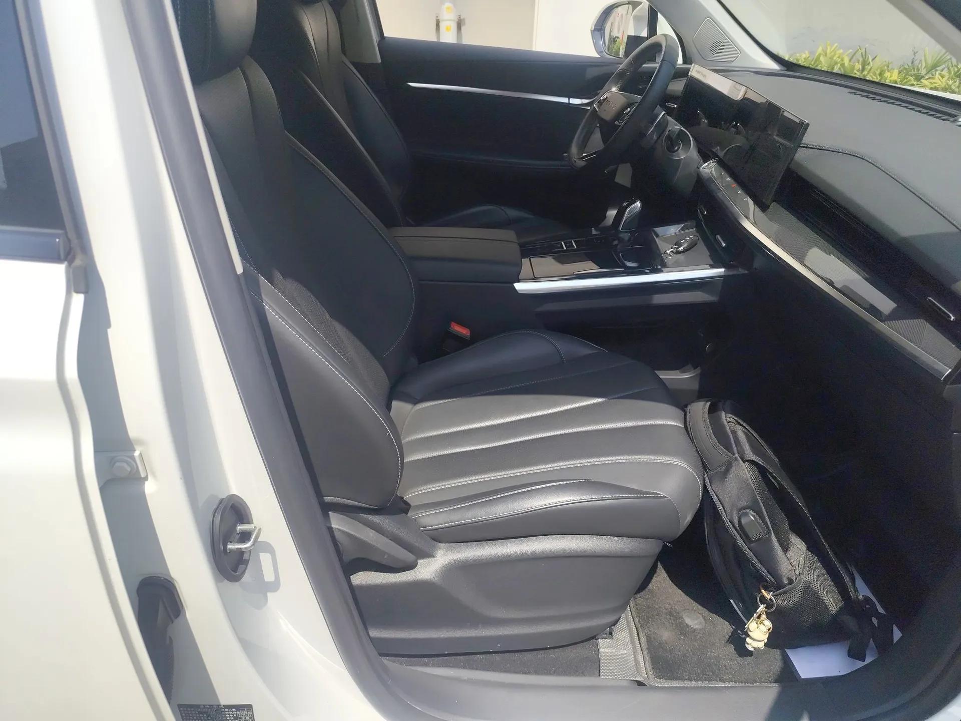 Roewe RX5 eMAX 2022 1.5T PHEV Fearless Deluxe Edition — миниатюра 23
