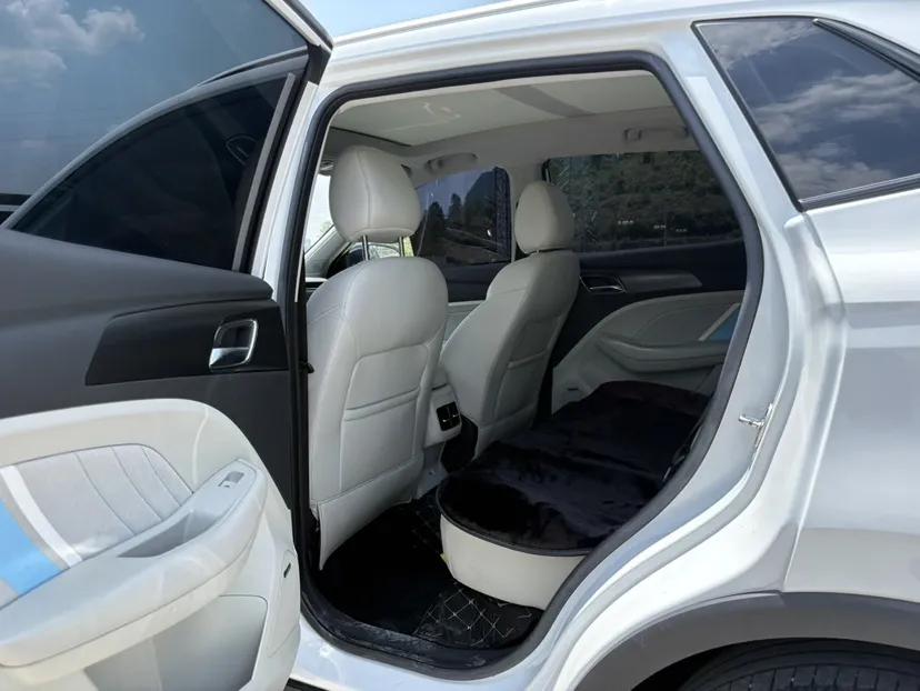 Roewe Longmao 2022 1.5L Dynamic Cat Edition — миниатюра 22