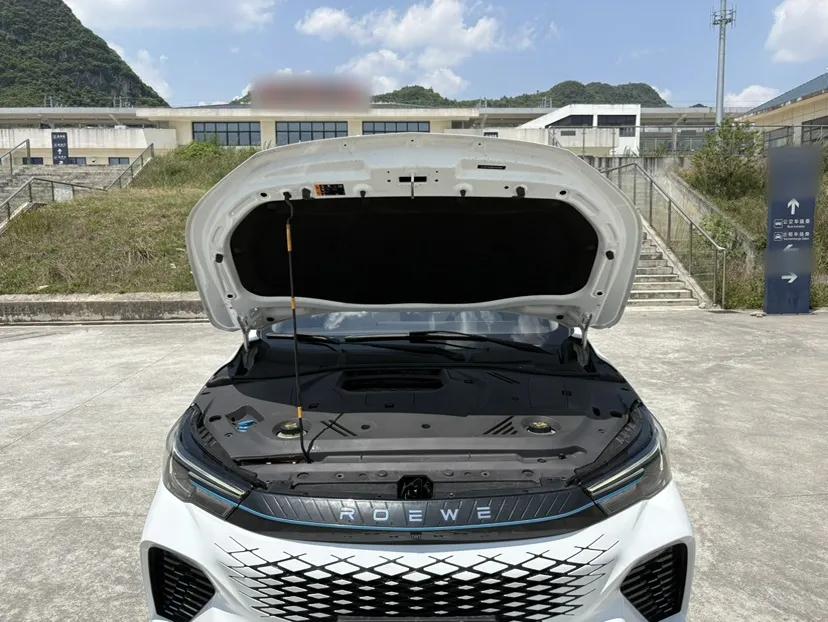 Roewe Longmao 2022 1.5L Dynamic Cat Edition — миниатюра 25