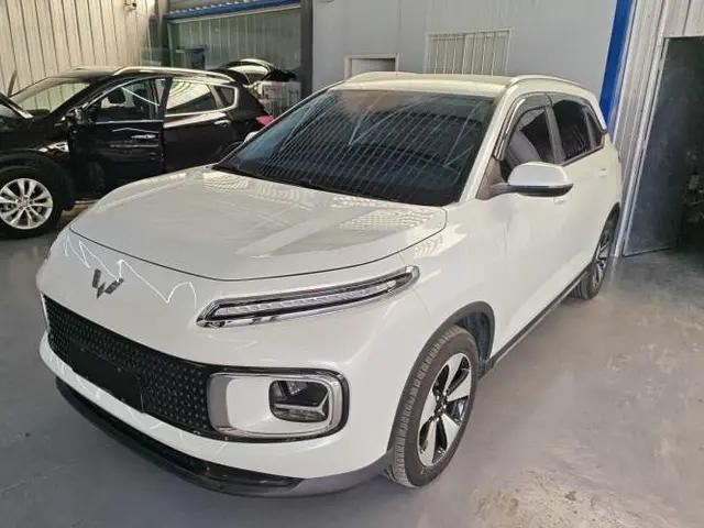 Wuling Xingyun 2023 2.0L DHT Standard Edition