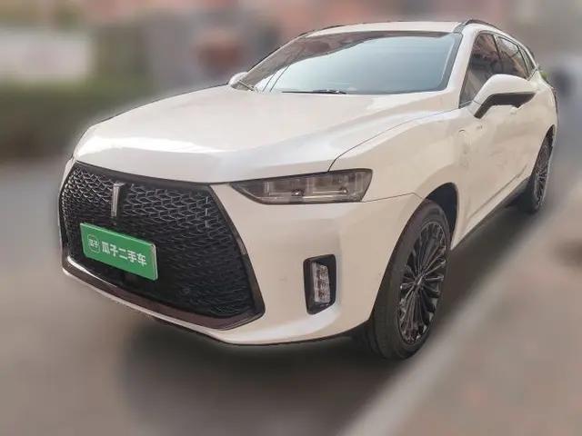 Wey P8 2018 2.0T Flagship Model