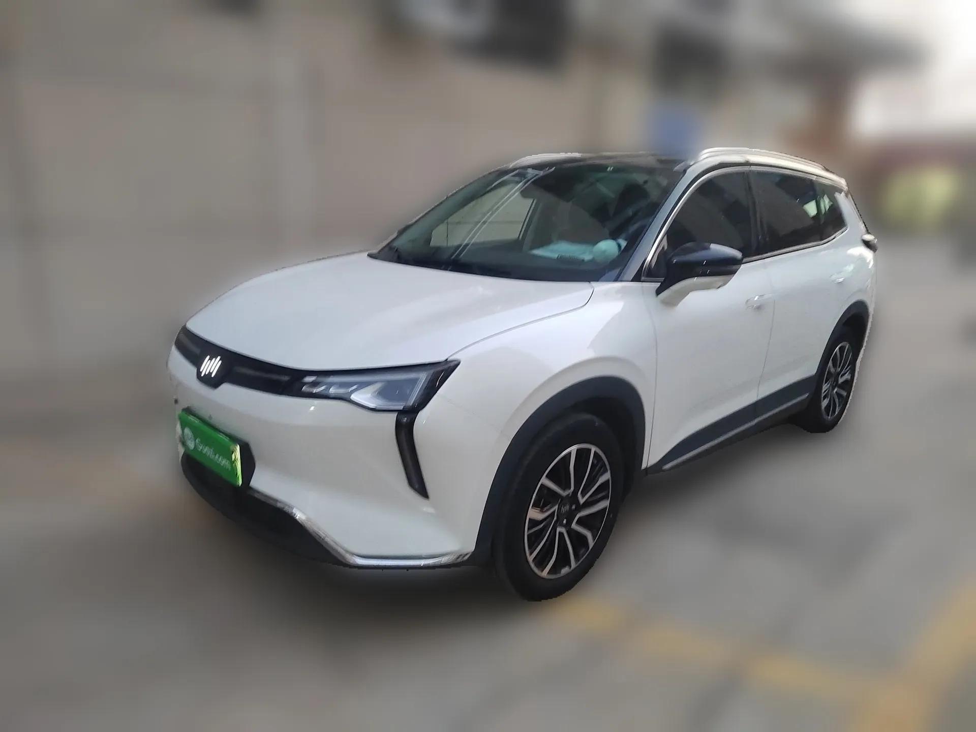 WM Motor W6 2021 520km PRO All-Round Edition — миниатюра 1