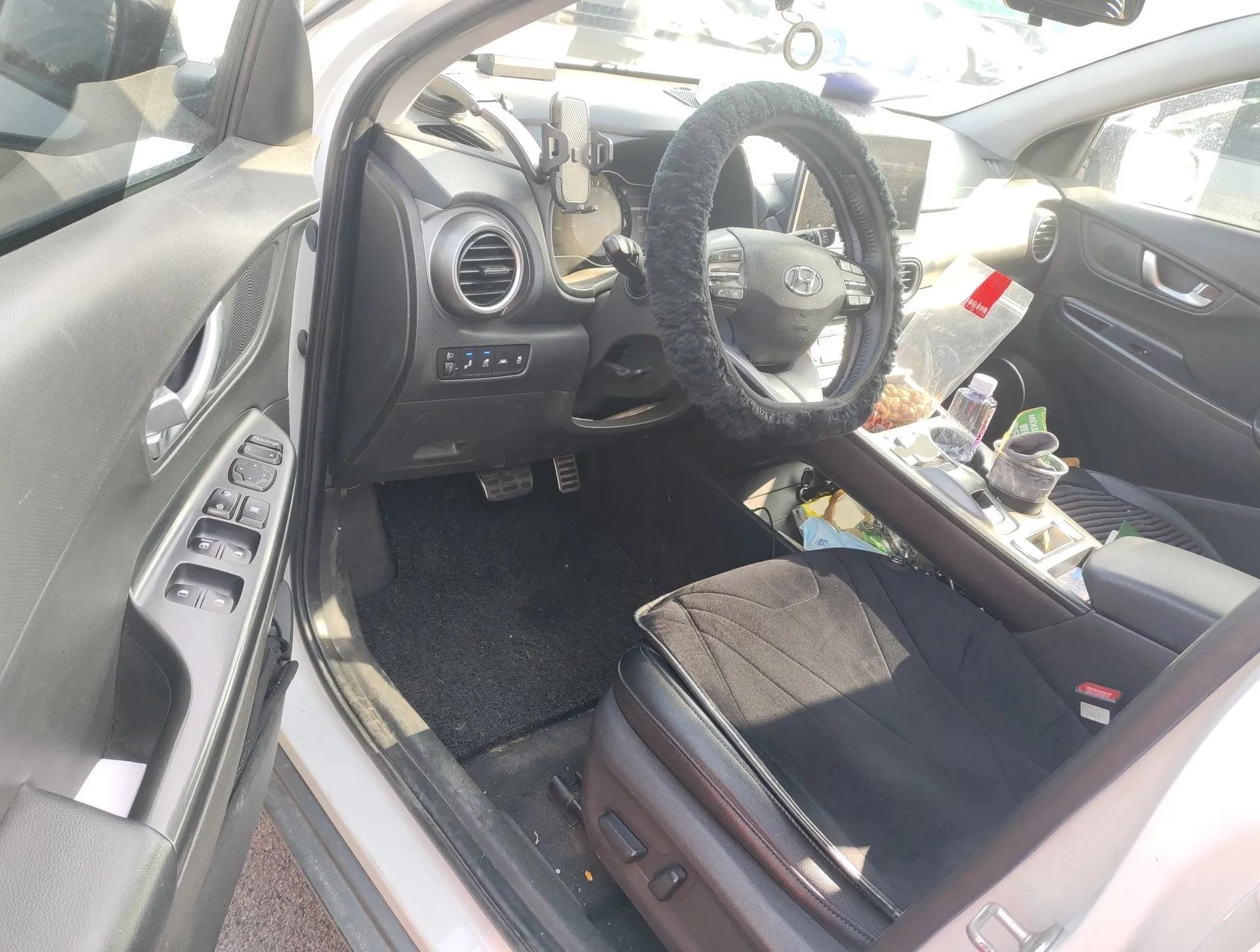 Hyundai ENCINO Electric 2020 TOP Enjoyment Edition — миниатюра 17
