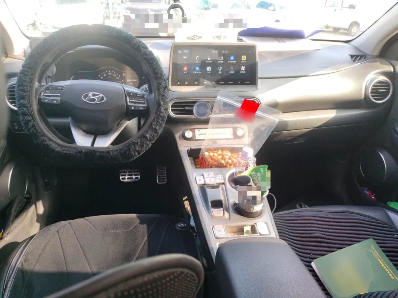 Hyundai ENCINO Electric 2020 TOP Enjoyment Edition — миниатюра 10