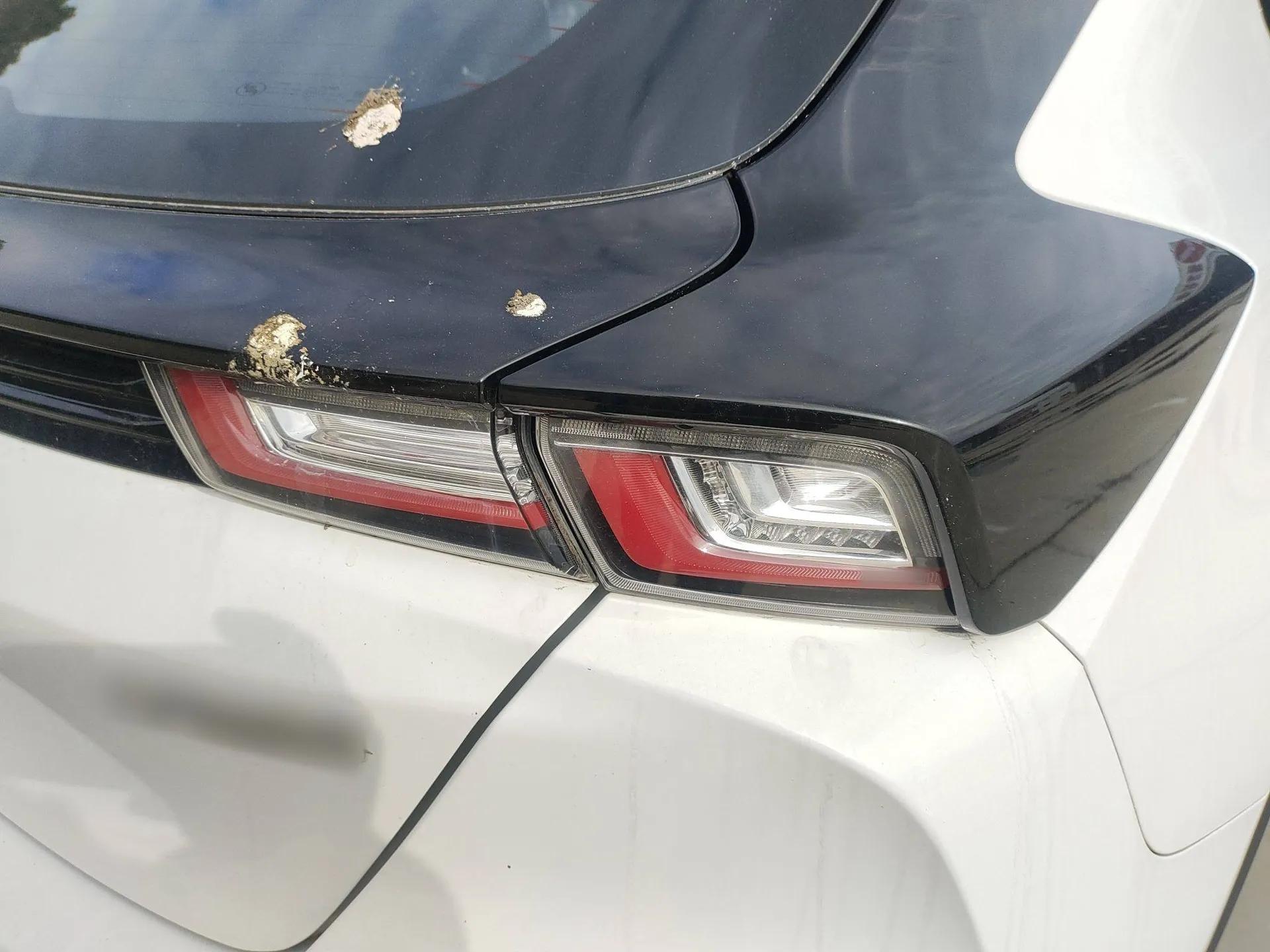 Chevrolet Menlo 2022 Star Enjoyment Edition — миниатюра 8