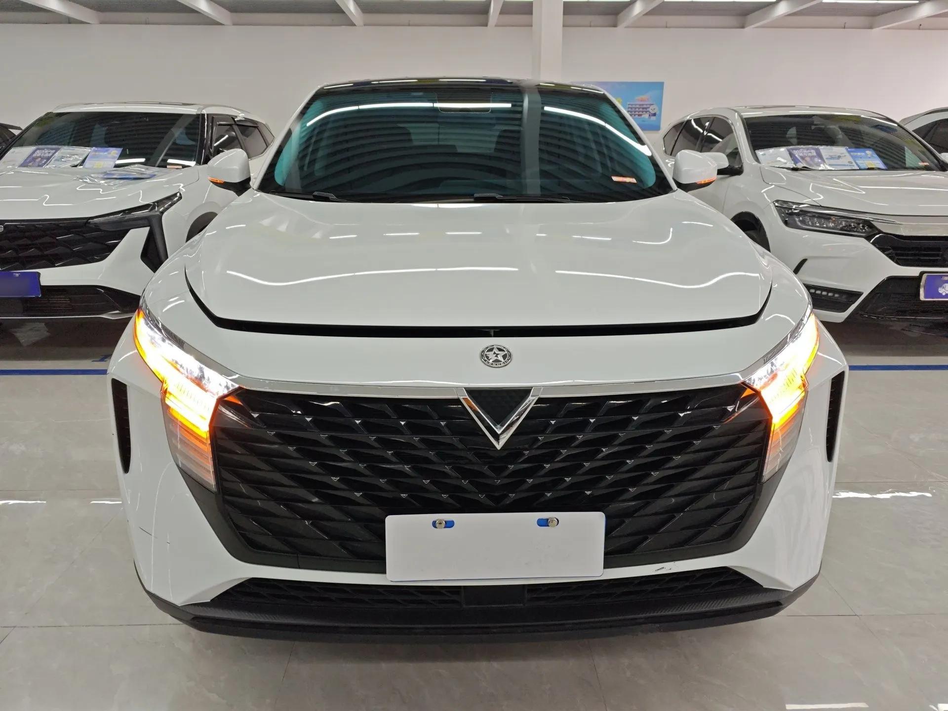 Venucia V 2021 260T Idol Edition — миниатюра 2