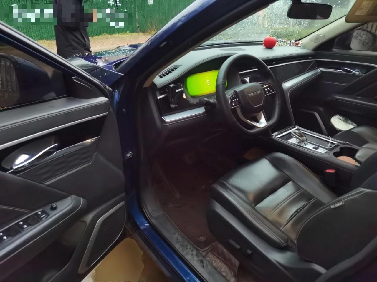 Venucia Star 2020 260T Automatic 48V Mild Hybrid Turbocharged Star Edition — миниатюра 17