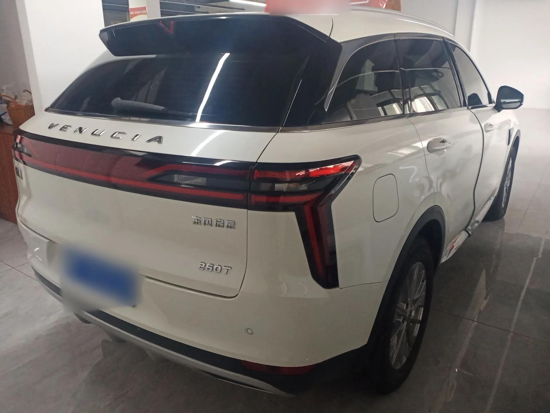 Venucia Star 2020 260T Automatic 48V Mild Hybrid Turbocharged Star Edition — миниатюра 6