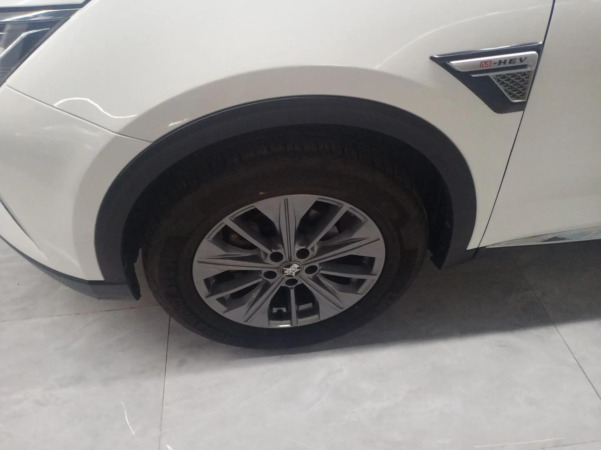 Venucia Star 2020 260T Automatic 48V Mild Hybrid Turbocharged Star Edition — миниатюра 8