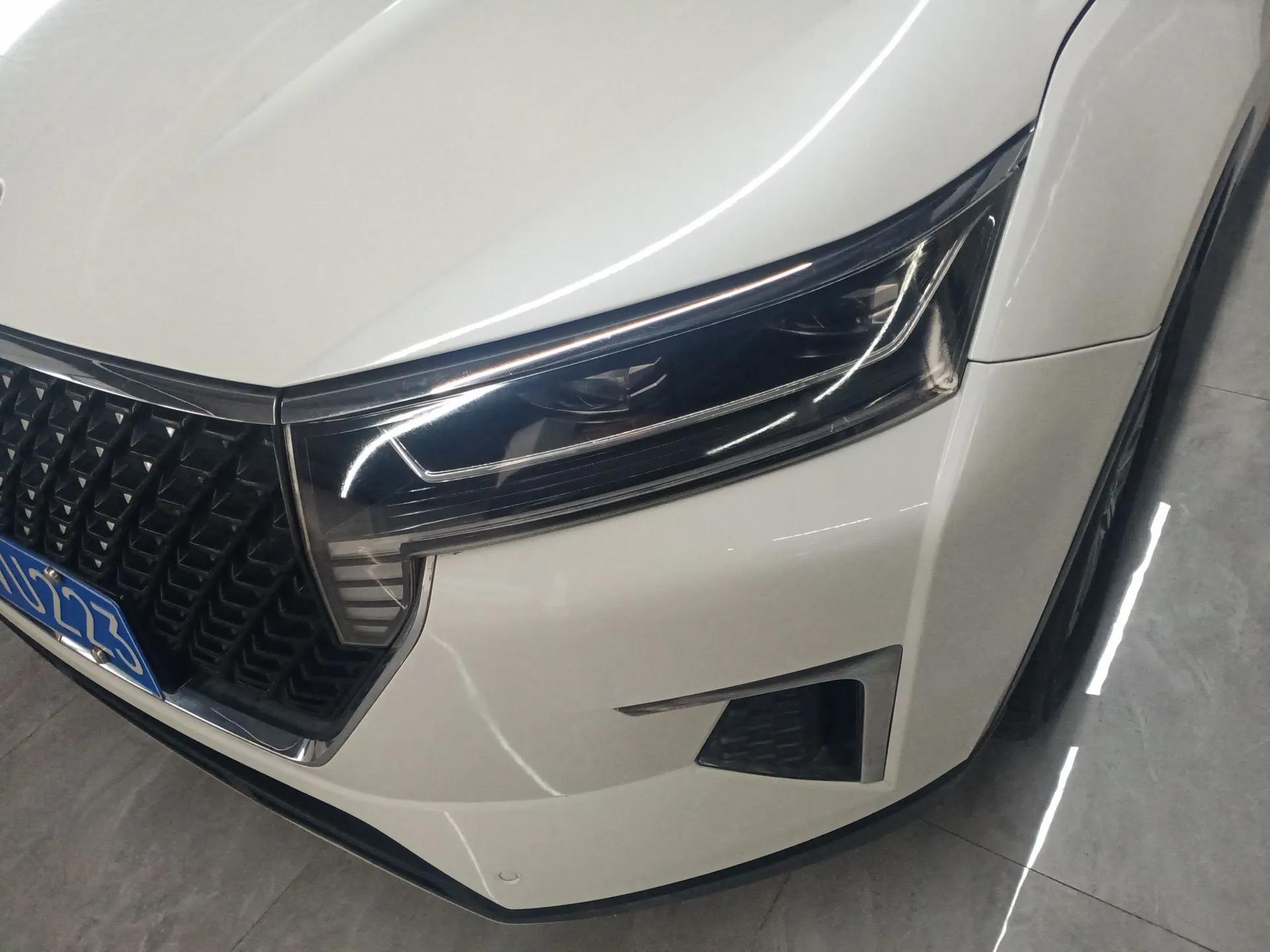 Venucia Star 2020 260T Automatic 48V Mild Hybrid Turbocharged Star Edition — миниатюра 9