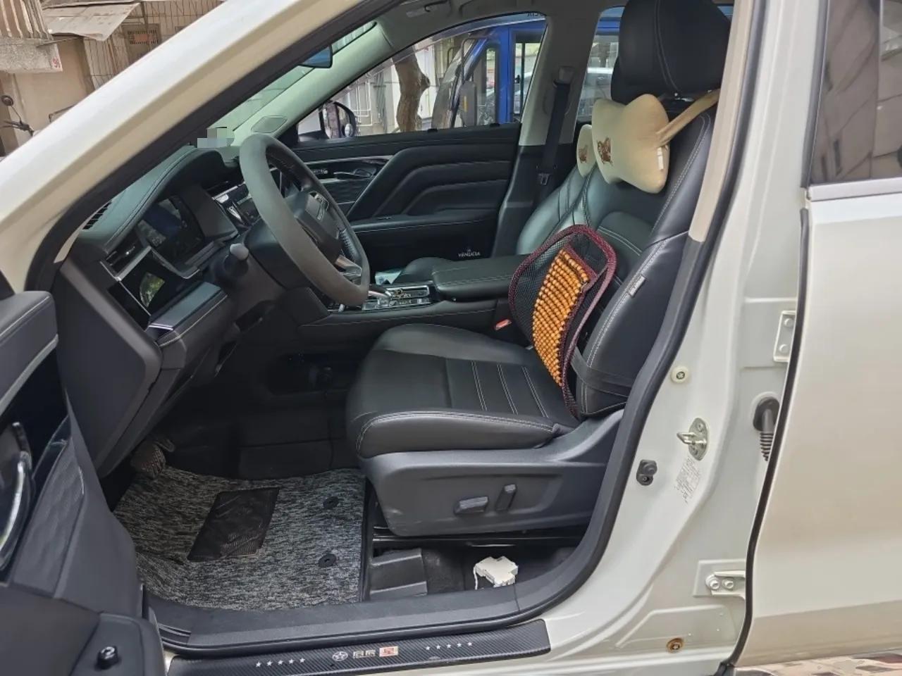 Venucia Star 2020 260T Automatic 48V Mild Hybrid Turbocharged Star Edition — миниатюра 16