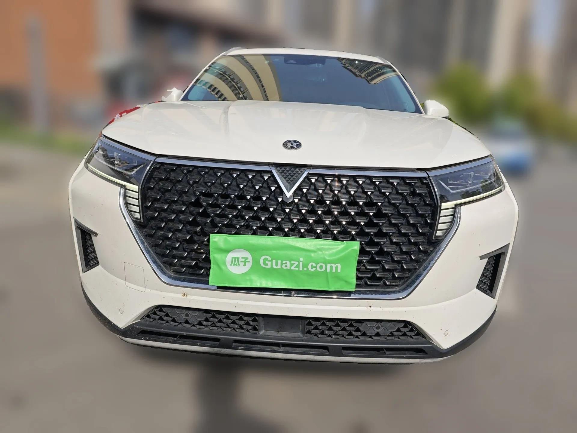 Venucia Star 2020 260T Automatic 48V Mild Hybrid Turbocharged Star Edition — миниатюра 2