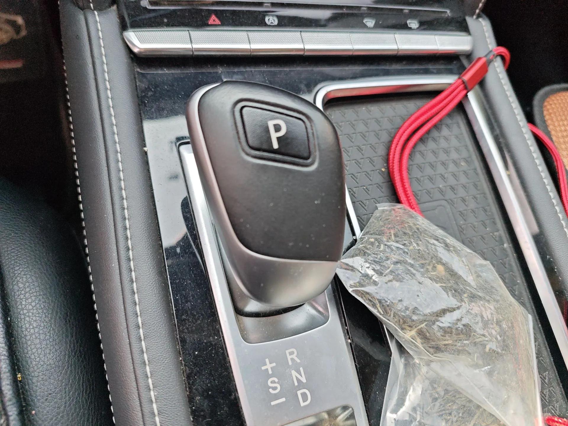 Venucia Star 2020 260T Automatic 48V Mild Hybrid Turbocharged Star Edition — миниатюра 15