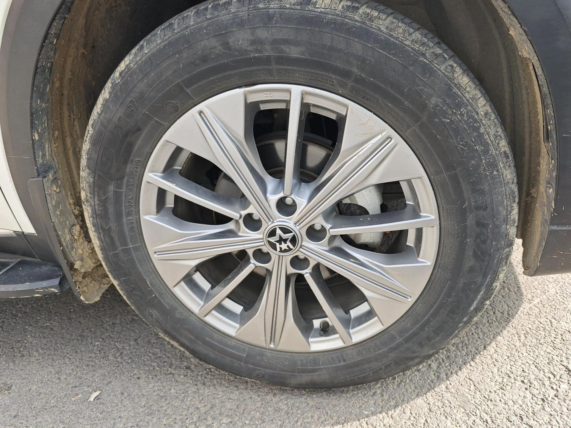 Venucia Star 2020 260T Automatic 48V Mild Hybrid Turbocharged Star Edition — миниатюра 8