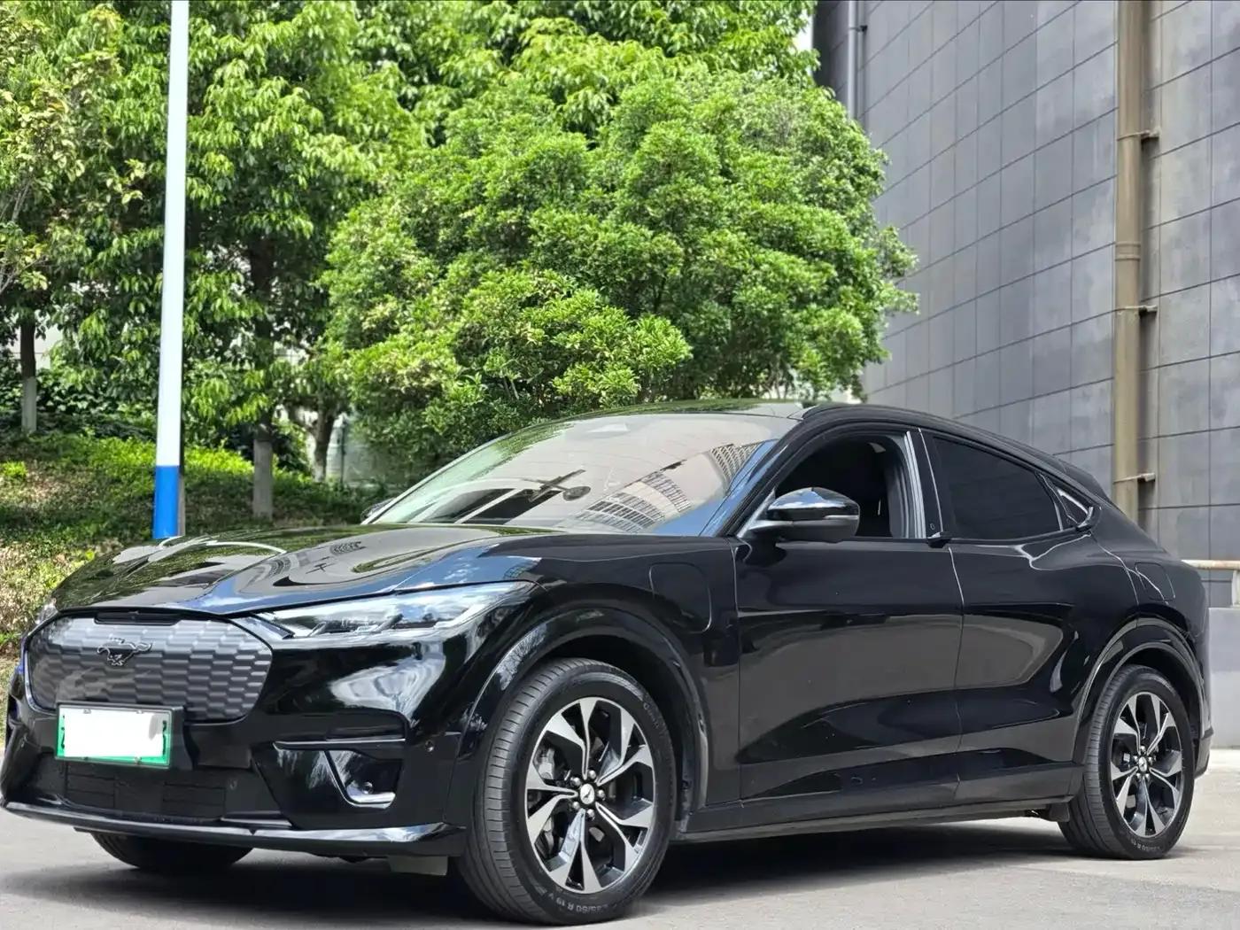 Ford Electric 2021 All-Wheel Drive Luxury Edition Long Range — миниатюра 1