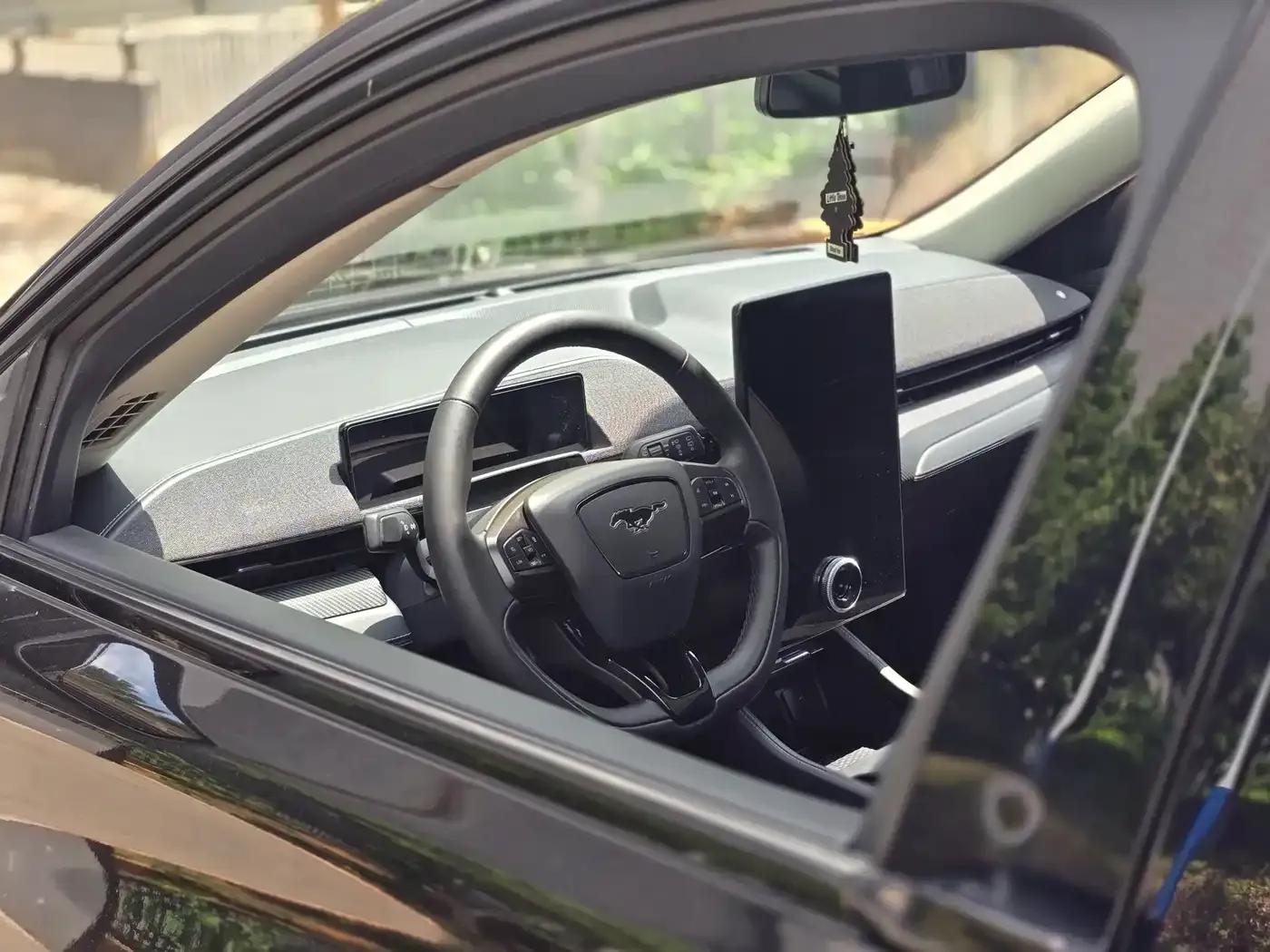 Ford Electric 2021 All-Wheel Drive Luxury Edition Long Range — миниатюра 14