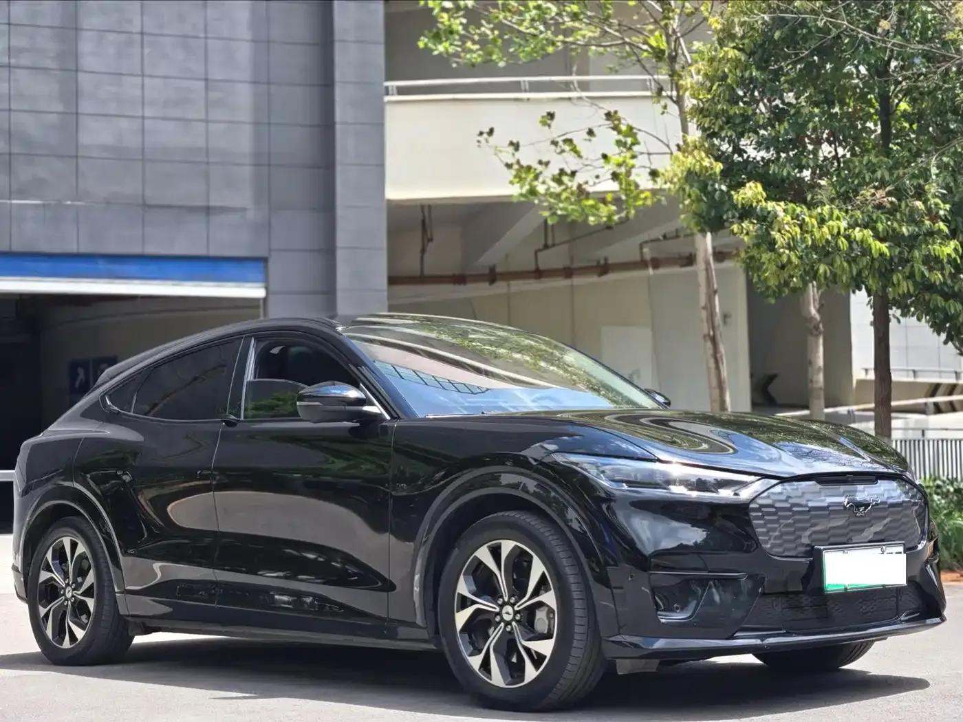 Ford Electric 2021 All-Wheel Drive Luxury Edition Long Range — миниатюра 3