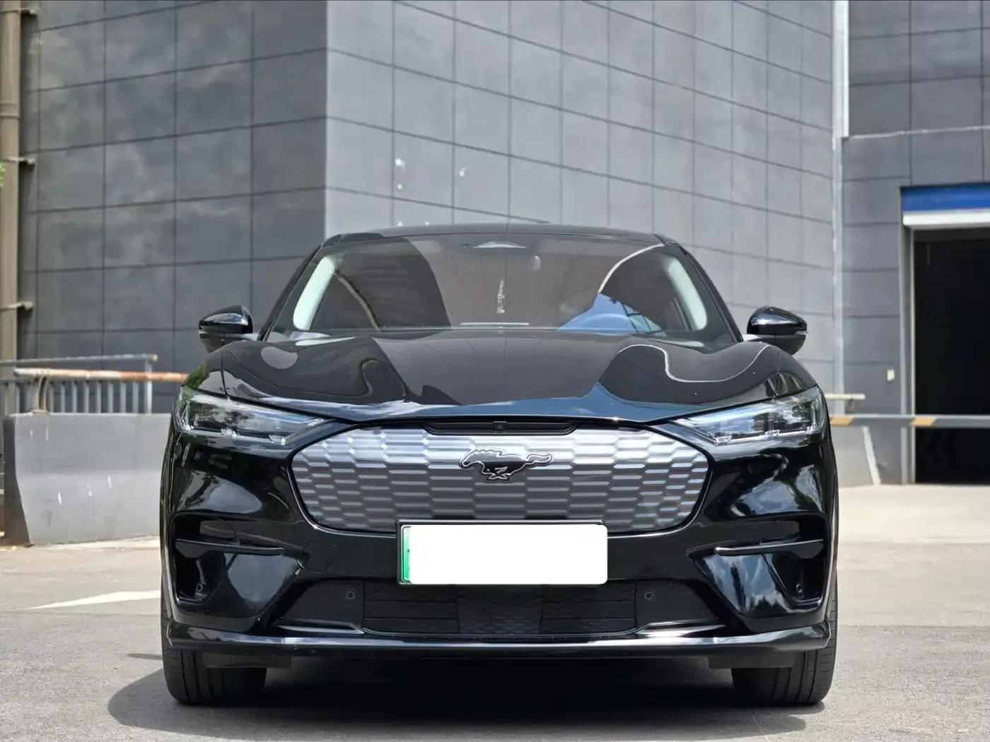 Ford Electric 2021 All-Wheel Drive Luxury Edition Long Range — миниатюра 4