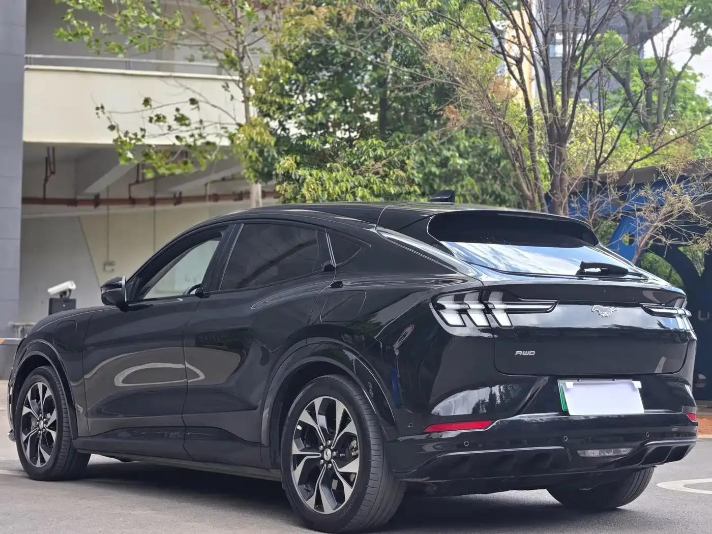Ford Electric 2021 All-Wheel Drive Luxury Edition Long Range — миниатюра 8