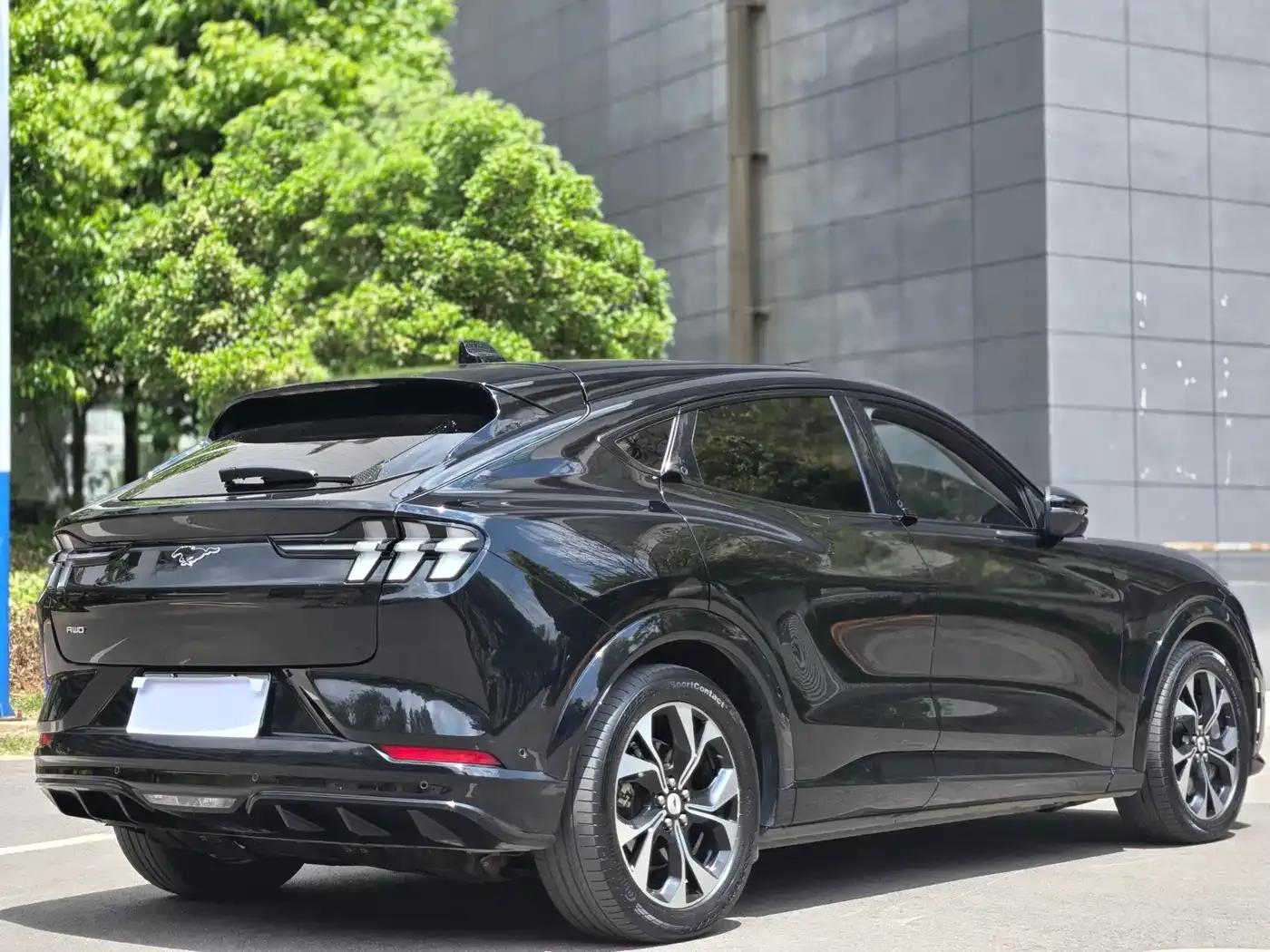 Ford Electric 2021 All-Wheel Drive Luxury Edition Long Range — миниатюра 9