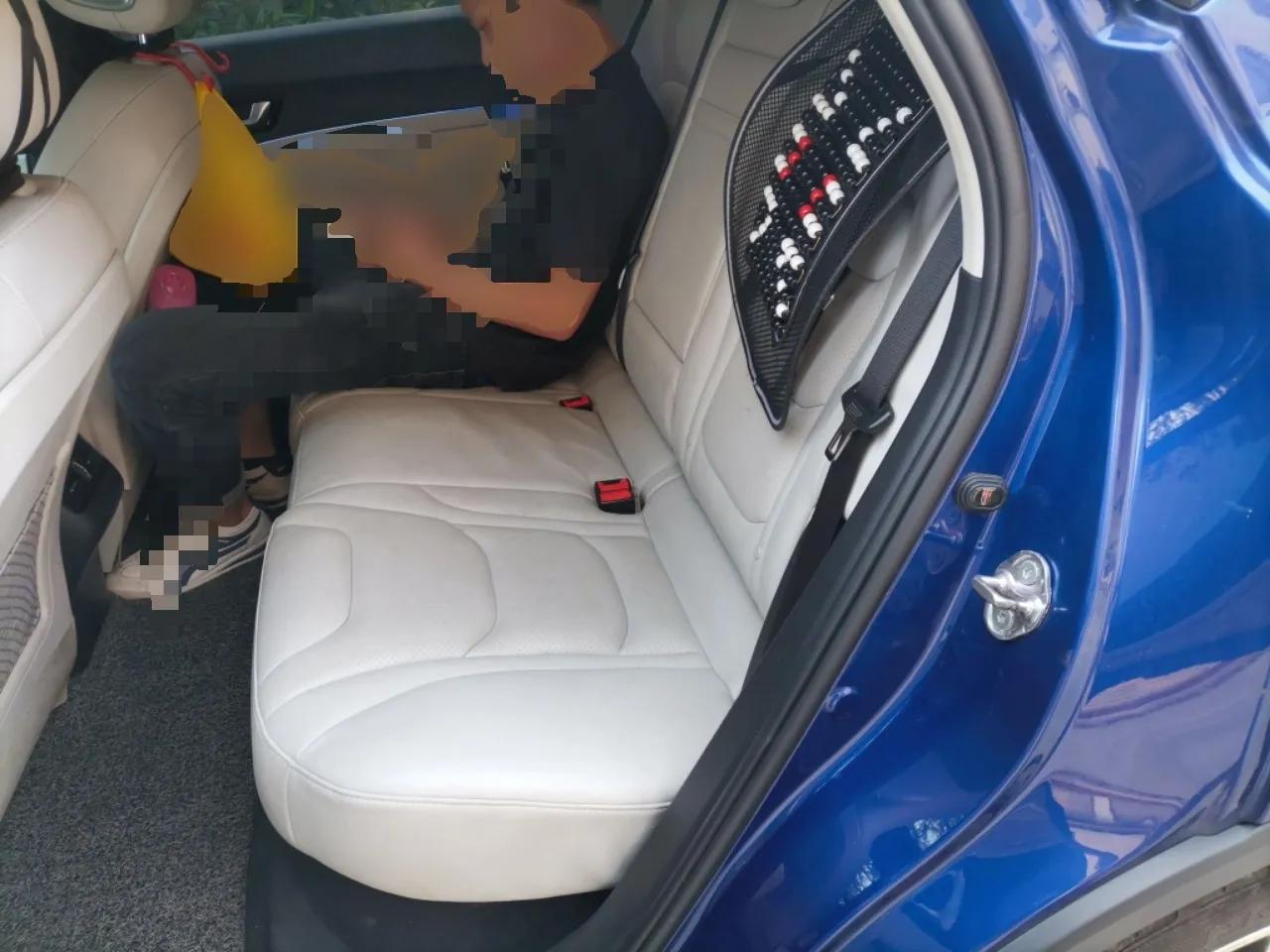 Hongqi E-HS3 2019 Zhilian Qiyue Two-Wheel Drive Version — миниатюра 18