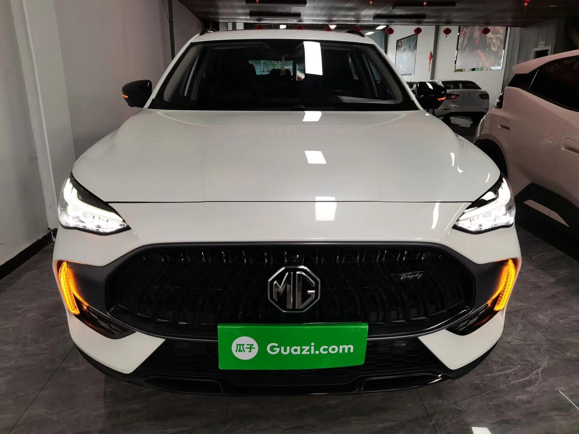 MG Pilot 2021 300TGI Automatic Two-Wheel Drive Trophy Deluxe Edition — миниатюра 2