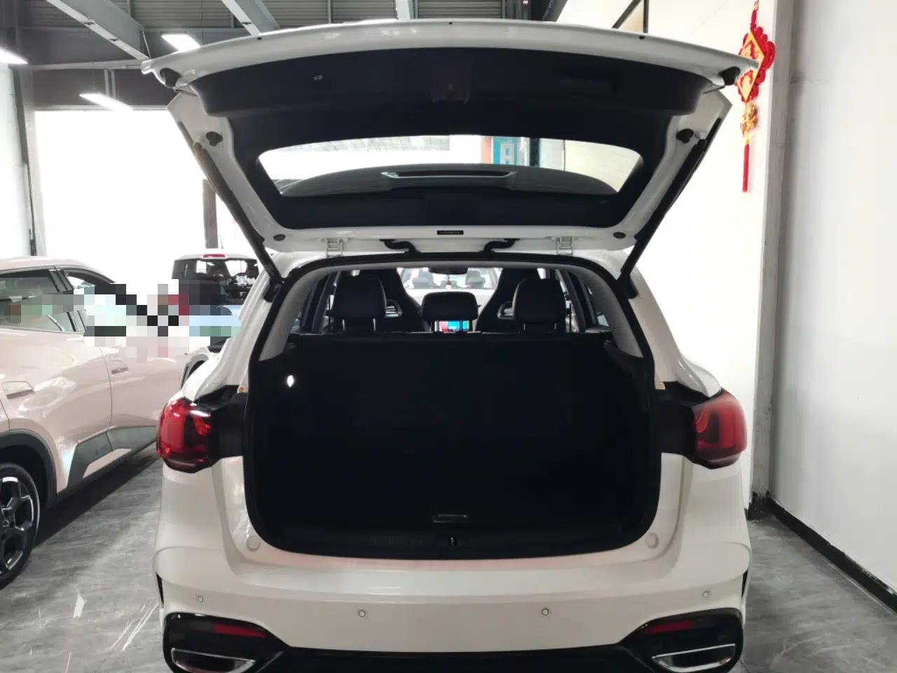 MG Pilot 2021 300TGI Automatic Two-Wheel Drive Trophy Deluxe Edition — миниатюра 22