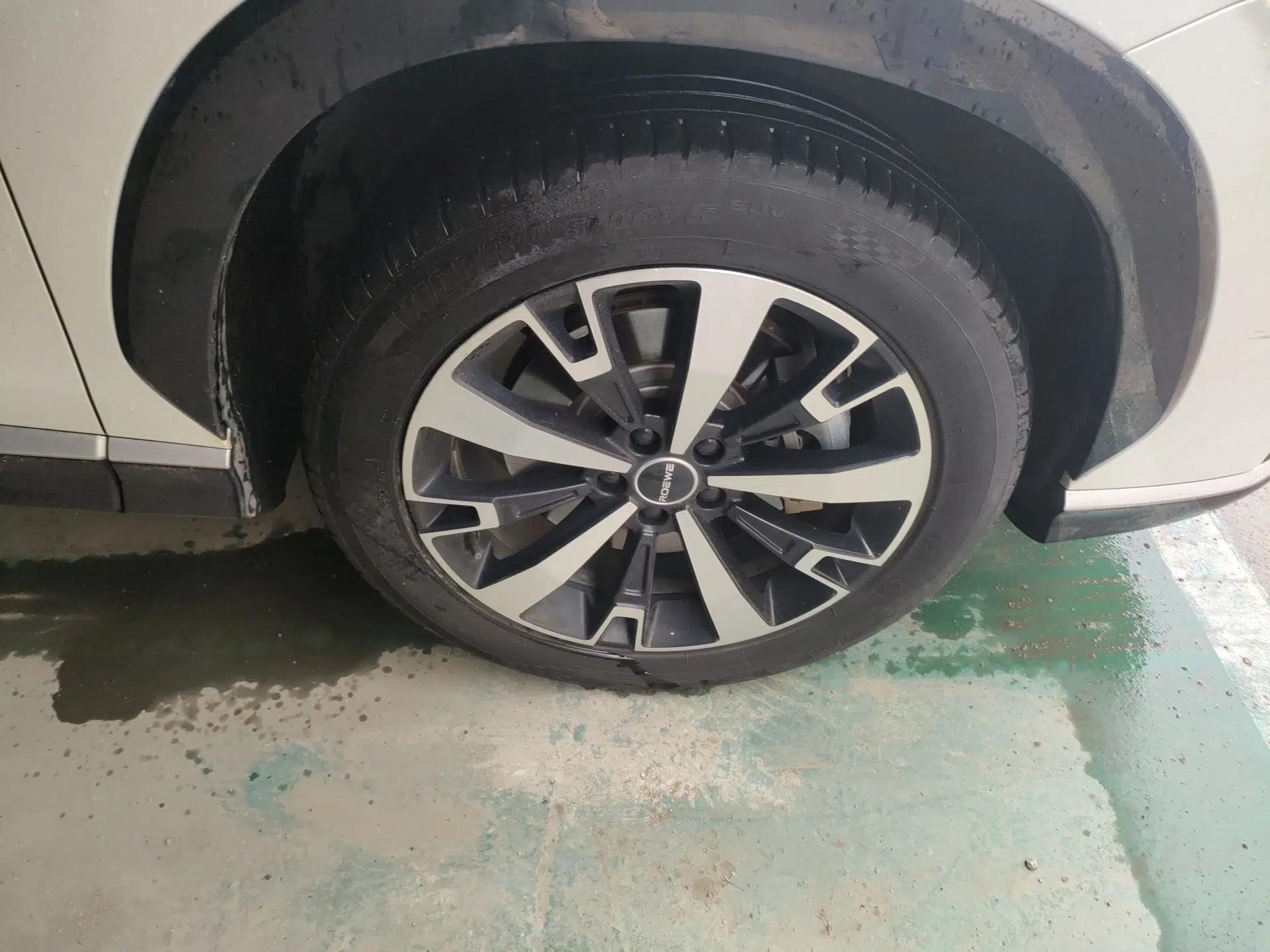 Roewe D5X DMH 2024 135 Tech Edition — миниатюра 8