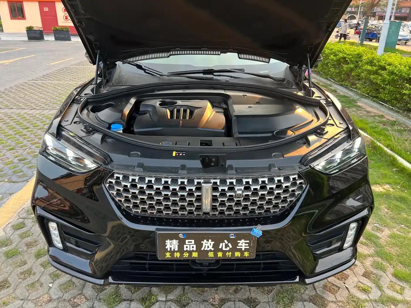 Weipai VV7 GT 2020 2.0T Flagship Edition — миниатюра 9