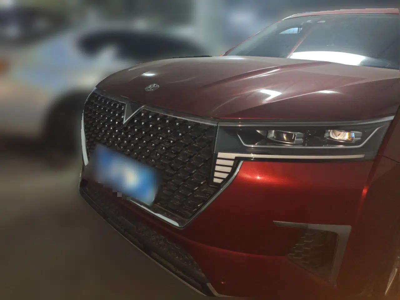 Venucia Star 2021 260T Automatic 48V Mild Hybrid Turbocharged Star Achieve Edition — миниатюра 2