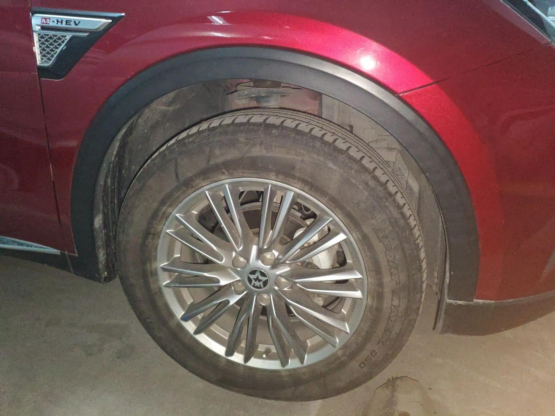 Venucia Star 2021 260T Automatic 48V Mild Hybrid Turbocharged Star Achieve Edition — миниатюра 8