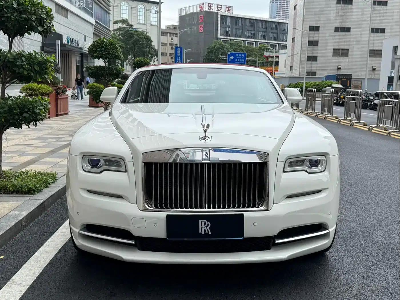 2018 Dawn 6.6T Standard Edition — миниатюра 2