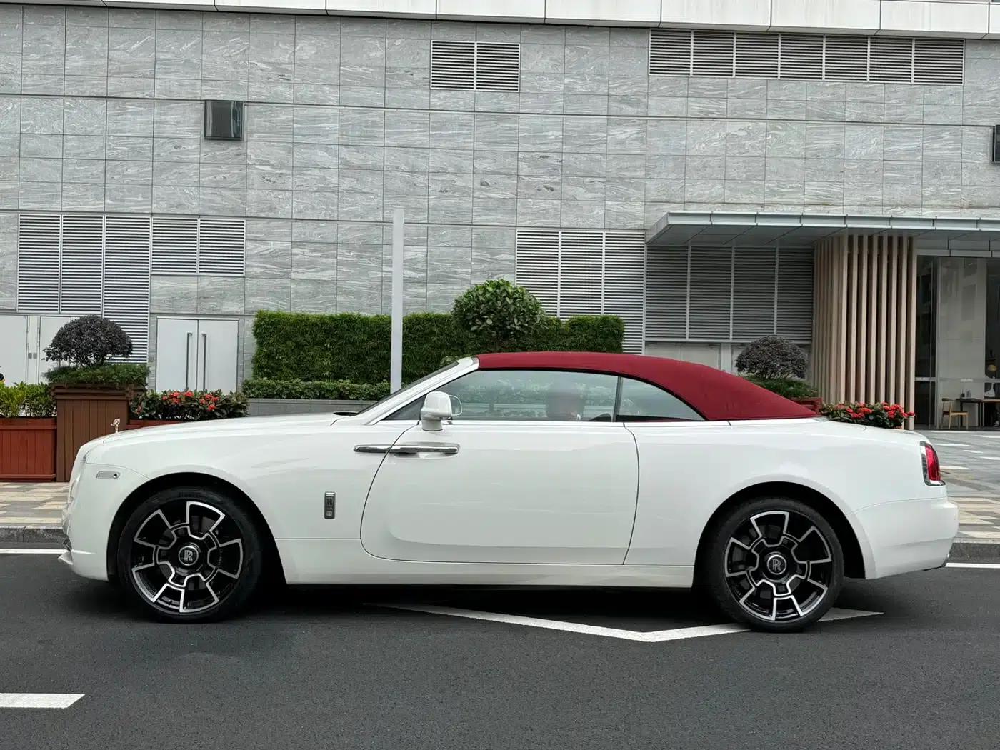 2018 Dawn 6.6T Standard Edition — миниатюра 11
