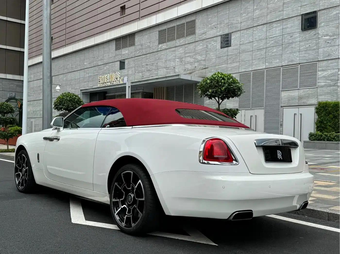 2018 Dawn 6.6T Standard Edition — миниатюра 12