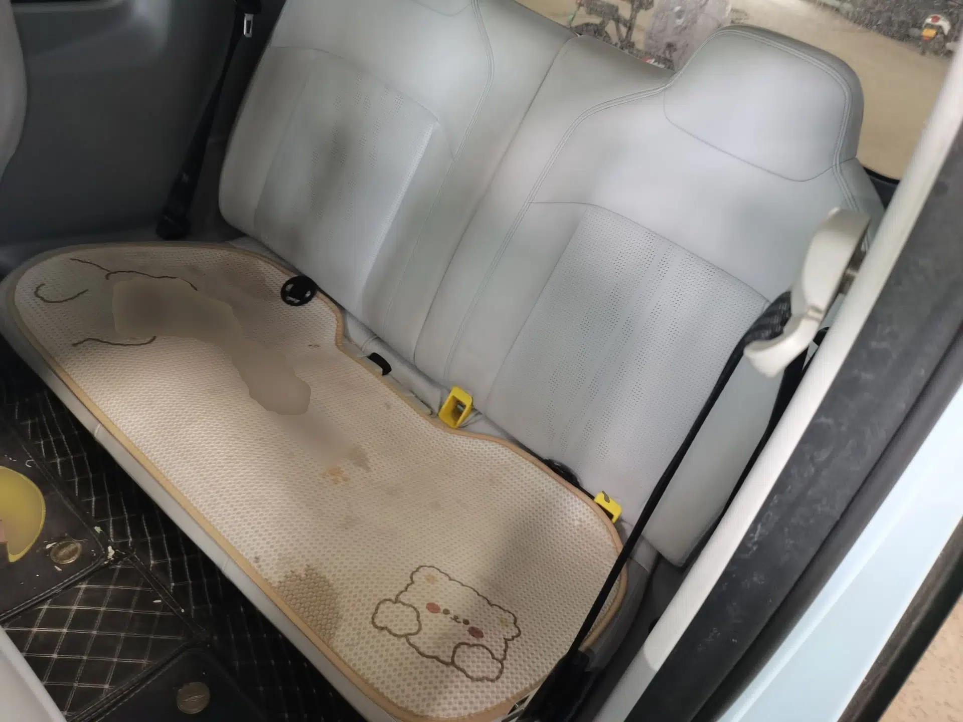 Wuling Air ev 2023 - Four Seats - Advanced Edition — миниатюра 20
